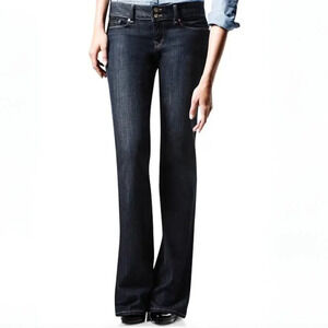 GAP 1969 Perfect Boot Dark Wash Jeans